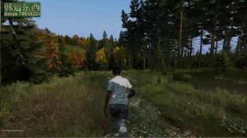 僵尸末日 dayz0.62 2017-07-26 21点场