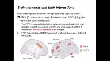 R-fMRI Journal Club 2017-07-21 09点场