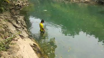 钓甲鱼大师开课了。 2017-07-30 11点场