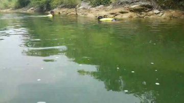 摸鱼咯，摸鱼咯 2017-07-30 12点场