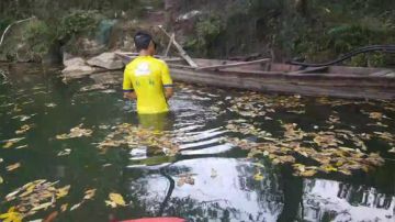 摸鱼咯，摸鱼咯 2017-07-30 16点场