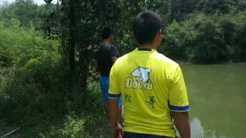 钩钩钩钩钩甲鱼 2017-07-31 11点场