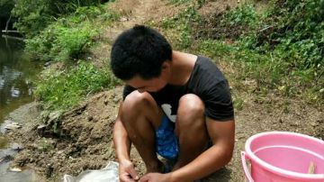 钩钩钩钩钩甲鱼 2017-07-31 12点场