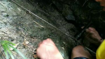 钩钩钩钩钩甲鱼 2017-07-31 12点场