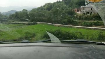 钩钩钩钩钩甲鱼 2017-07-31 14点场