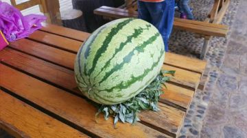 沙坡头，一日游。 2017-08-01 14点场