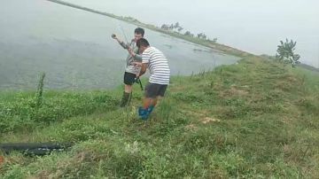 【户外】欢迎皮总前来钓鱼 2017-07-29 05点场