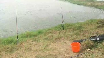 【户外】欢迎皮总前来钓鱼 2017-07-29 07点场