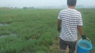 【户外】干旱了，起地笼 2017-07-30 05点场
