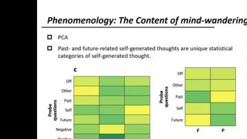 R-fMRI Journal Club 2017-08-04 14点场