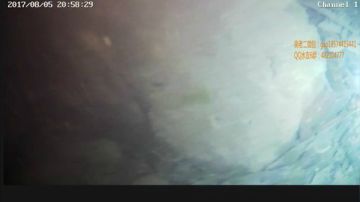 深夜水下直播抓桂鱼！ 2017-08-05 20点场