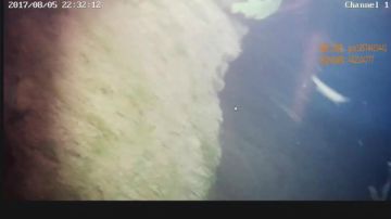 深夜水下直播抓桂鱼！ 2017-08-05 22点场