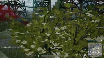 【格调】：打打亚服 2017-08-06 20点场