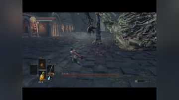 萌萌小白 新手开荒