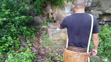 叫花鸡，银耳莲子汤 2017-08-13 11点场