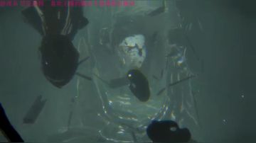 【管子】层层高能·另类搞笑高能主播 2017-08-18 16点场