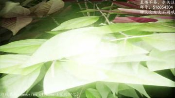 【尹不同】斗鱼第一怂 2017-08-17 00点场