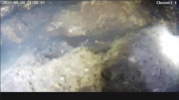 潜水插鱼，水下第一视角！ 2017-08-20 21点场