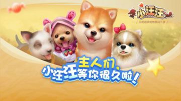 【LD评测】新手游《小汪汪》开心评测~跟狗狗一起玩耍吧！嗷呜