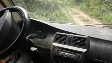 甲鱼钓＋摸鱼 2017-08-21 11点场