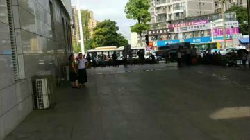 《鱼乐实验室》降温大作战 2017-08-21 15点场