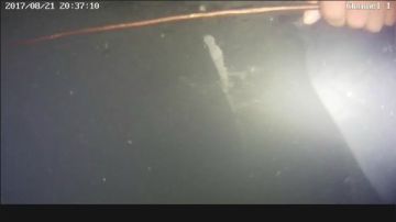 直播水下高清抓鱼。 2017-08-21 20点场