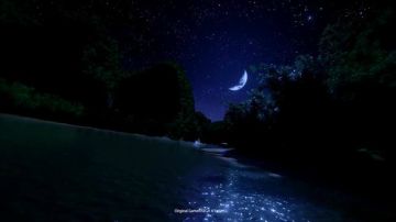 Shenmue III – The 1st Teaser