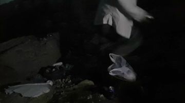 【威海大叔】海岛试播。 2017-08-24 18点场
