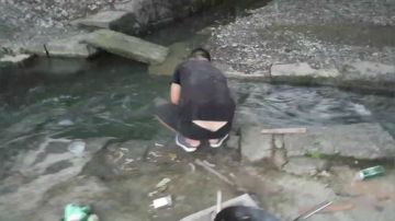 摸大鱼！大鱼！ 2017-08-26 19点场