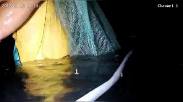 潜水摸大鱼！大鱼！ 2017-08-26 19点场