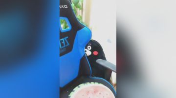 冰妹妹：一起过七夕吧 2017-08-28 18点场