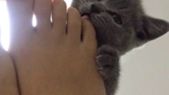 我是唐菲发布了一个斗鱼视频2018-01-01