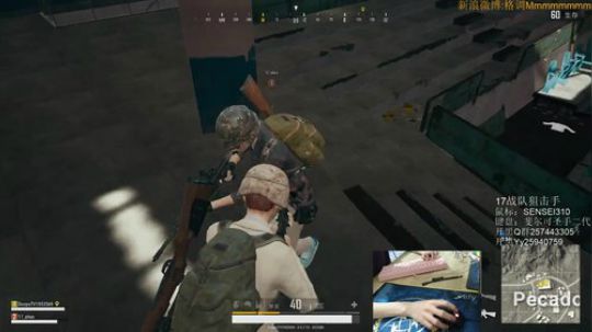 格调：亚服最高击杀记录保持者 2018-01-04 14点场