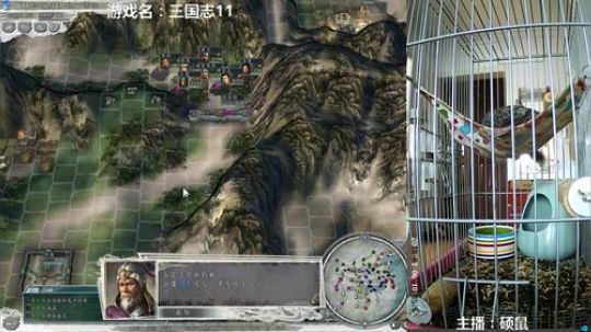 硕鼠的日常 2018-01-06 09点场