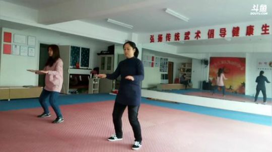 太极形意。青峰传统武术健身会馆 2018-01-05 08点场