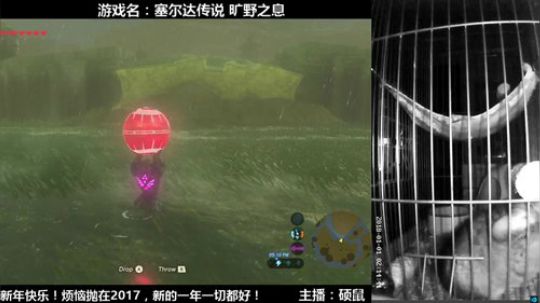 硕鼠的日常 2018-01-01 01点场