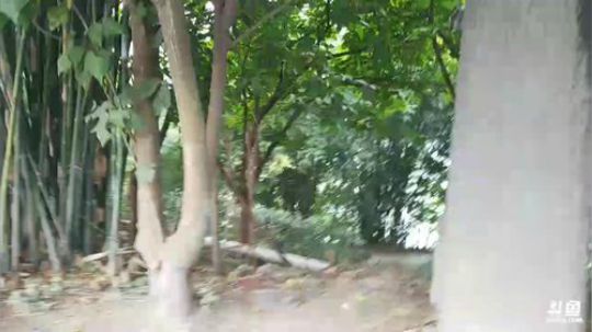 魅力南寻之山城之都重庆。 2018-01-07 13点场