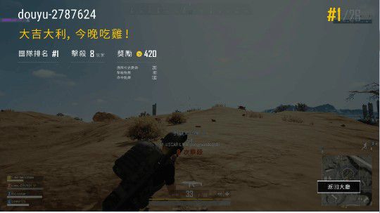 最猪训练赛