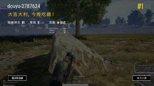 最猪训练赛