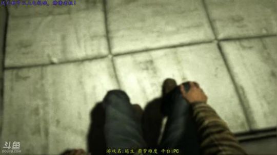 逍遥:逃生疯狂难度，这游戏有点害怕，娱乐 2018-01-07 15点场