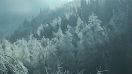 惊蜇发布了一个斗鱼视频2018-01-08