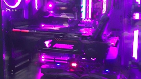 全雕风格！玉树临风