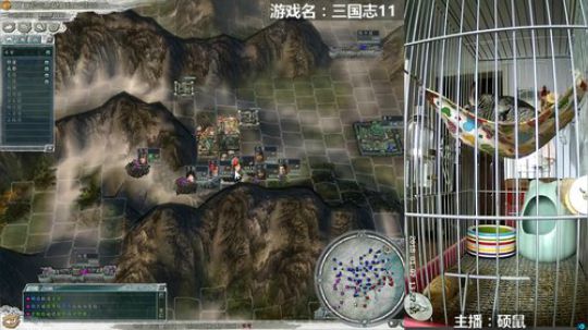硕鼠的日常 2018-01-07 12点场