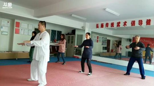 太极形意。青峰传统武术健身会馆 2018-01-09 08点场