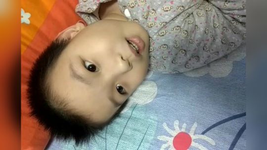 来来来，小组长给你们讲三只小猪的故事！