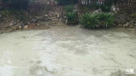 谁说魅力没女水友？ 2018-01-21 11点场