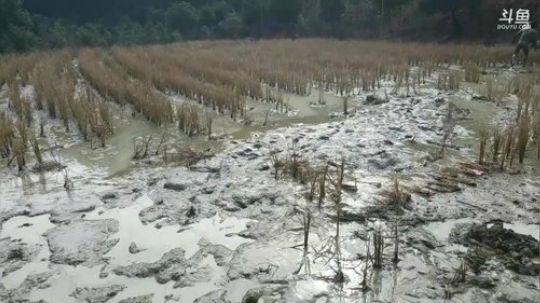 谁说魅力没女水友？ 2018-01-21 13点场