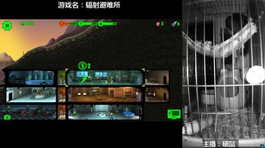 硕鼠的日常 2018-01-21 19点场