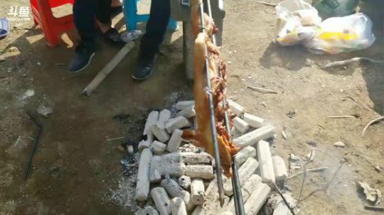 和妹子一起烤乳猪，烤竹鼠，烤鱼咯 2018-01-22 14点场