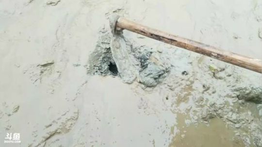 挖鳝鱼泥鳅了。 2018-01-24 10点场